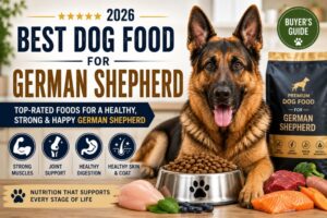 Best Dog Food for German Shepherd (2026)