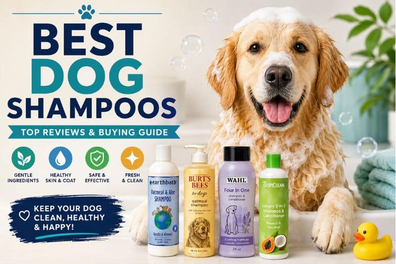 Best Dog Shampoo