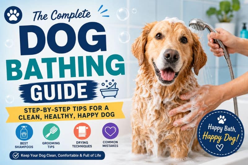 Dog Bathing Guide